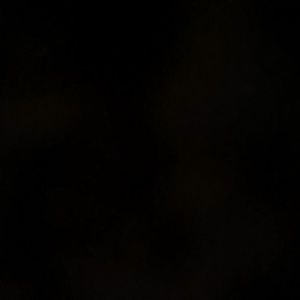 Meet your Posher, Colby